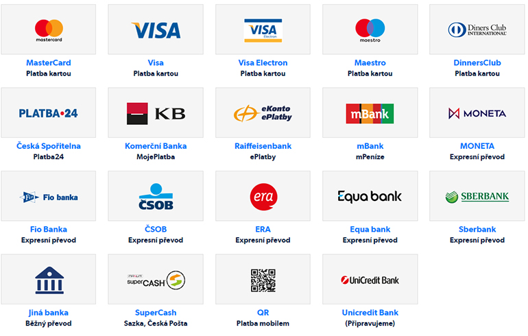 thepay